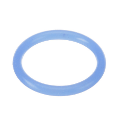 Server products O-Ring 1 inch